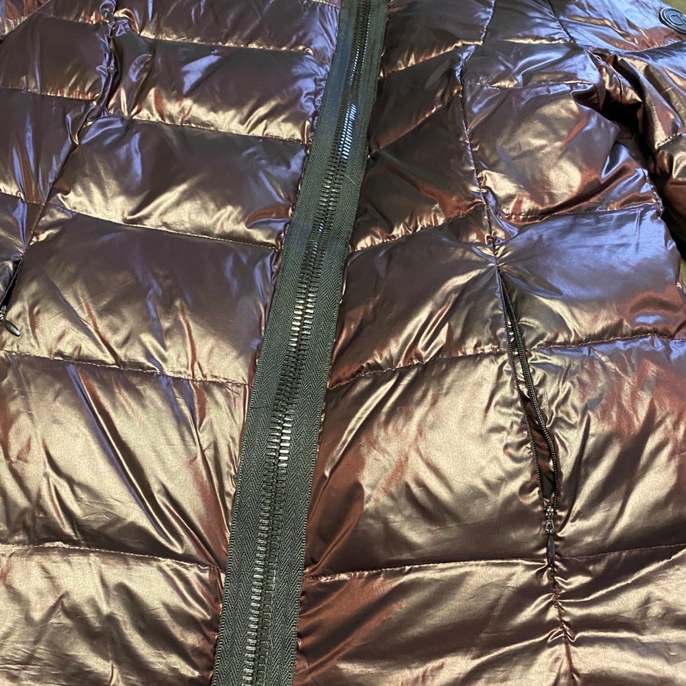 Calvin Klein Winter Coat